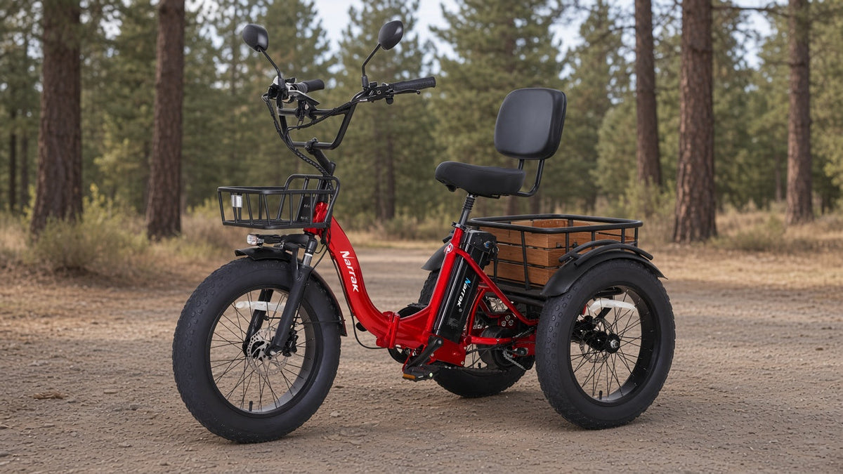 Off-road electric trike: Narrak S180 folding trike with 20x4 fat tires and baskets on packed gravel