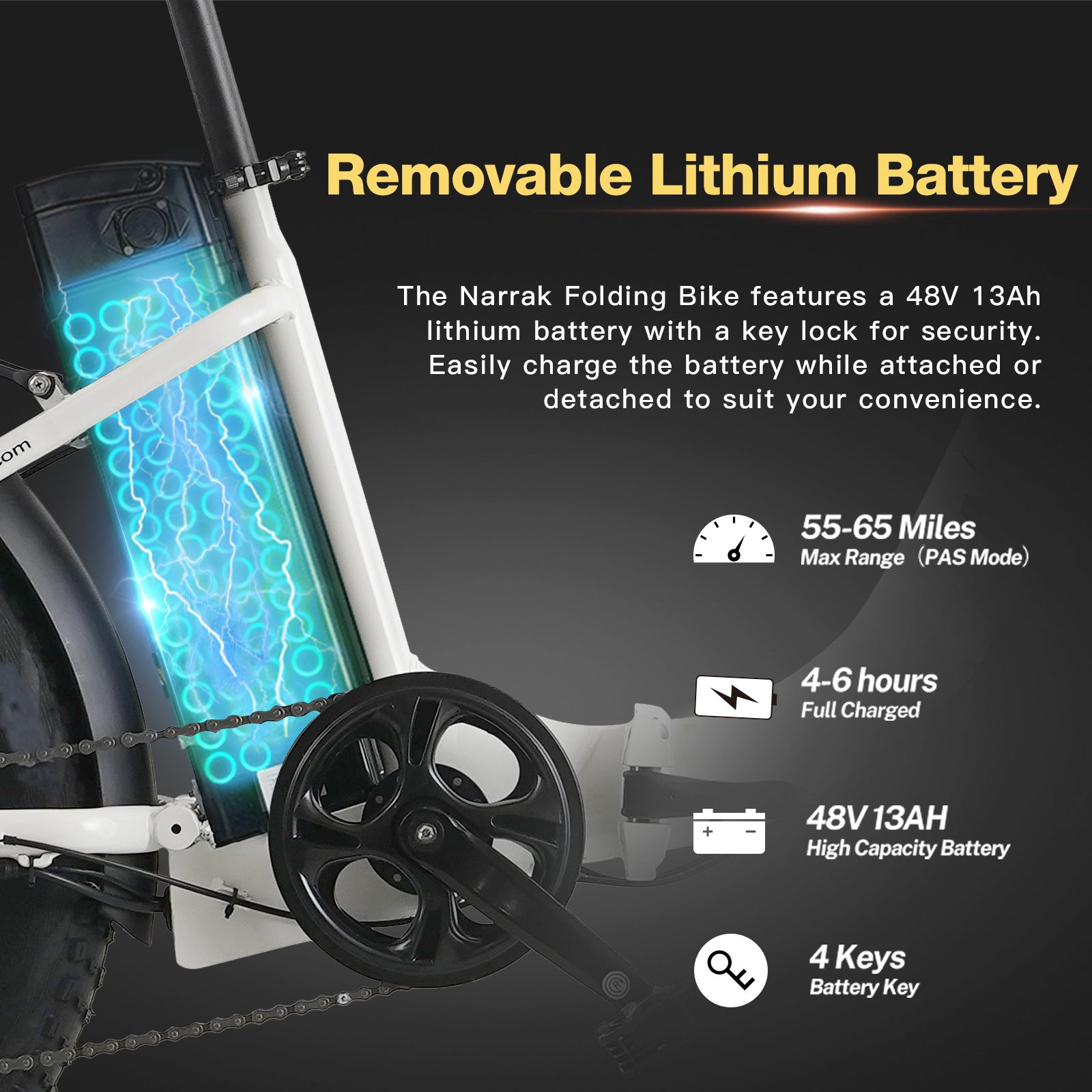 Folding Electric Bicycle with Peak 1100W Motor 48V 13AH 624WH Removable Battery Step Over / Thru E-Bike
