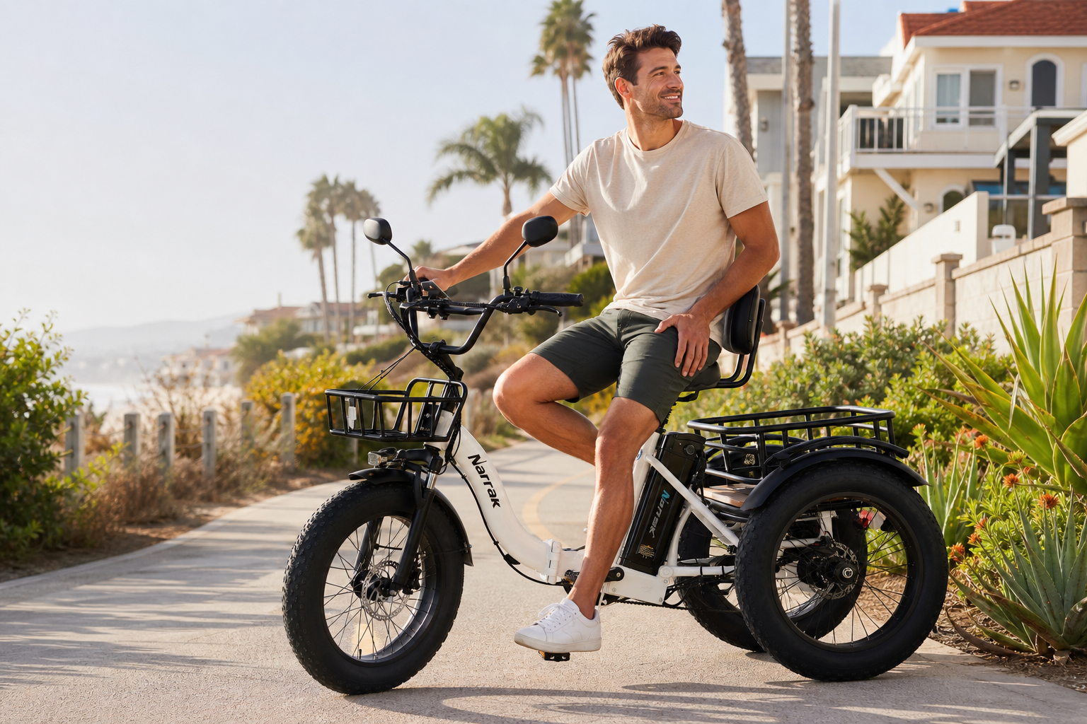 3 Wheel Electric Bike for Adults Guide | Narrak | Narrak