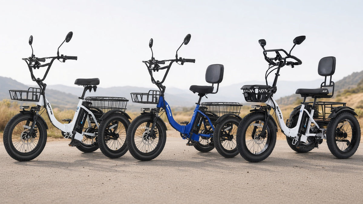 N3 vs N6 vs N8: two Narrak sit-up trikes beside a semi-recumbent N8 on a driveway
