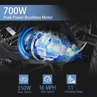 Electric Tricycle with Peak 700W Motor, 468WH Removable Battery and Large Baskets 36V 13Ah 350W