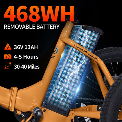 Narrak N3 electric tricycle - hydraulic brake detail