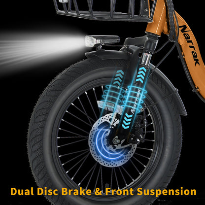 Electric Tricycle with Peak 1100W Motor, 624WH Removable Battery and Large Baskets 48V 13Ah 500W