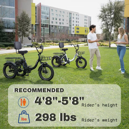 Electric Tricycle with Peak 1100W Motor, 624WH Removable Battery and Large Baskets 48V 13Ah 500W