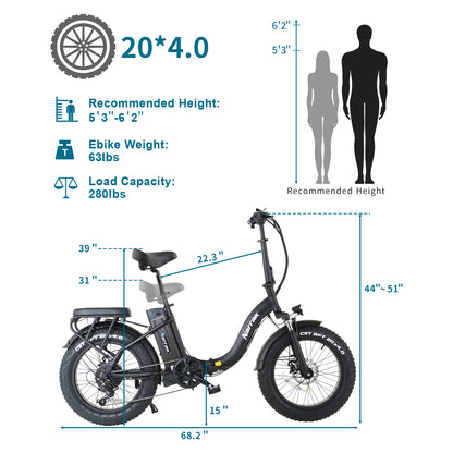 Folding Electric Bicycle with Peak 1100W Motor 48V 13AH 624WH Removable Battery Step Over / Thru E-Bike