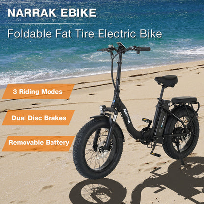Folding Electric Bicycle with Peak 1100W Motor 48V 13AH 624WH Removable Battery Step Over / Thru E-Bike