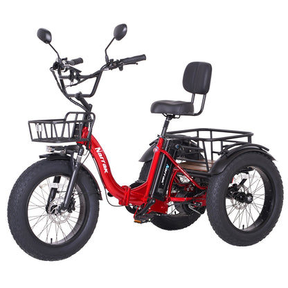 Folding Electric Tricycle S180 (Black)