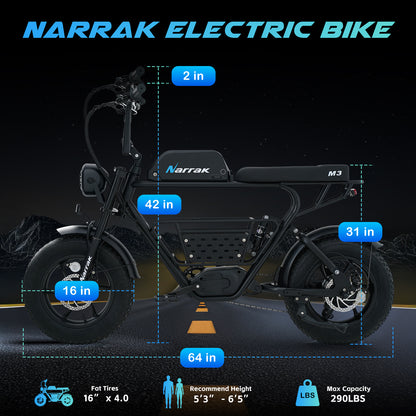 1100W Peak Motor 16"x 4.0 Fat Tires 48V 13AH Removable Battery Dirt E-Bike