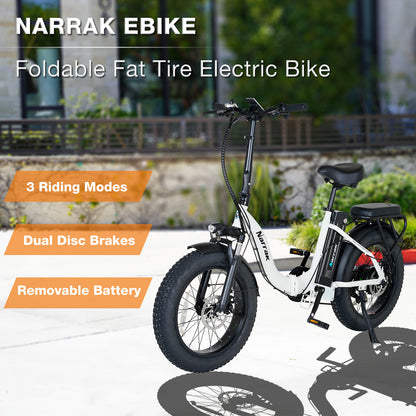 Folding Electric Bicycle with Peak 1100W Motor 48V 13AH 624WH Removable Battery Step Over / Thru E-Bike