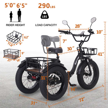 Folding Electric Tricycle S180 (Black)