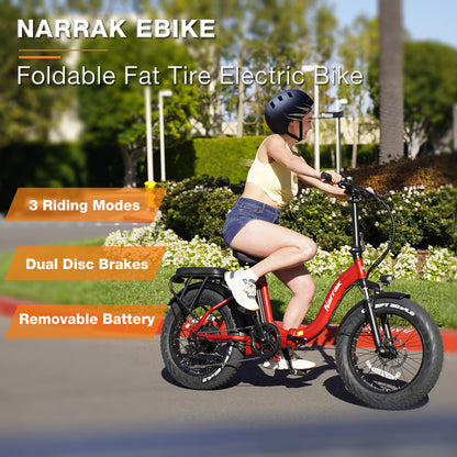 Folding Electric Bicycle with Peak 1100W Motor 48V 13AH 624WH Removable Battery Step Over / Thru E-Bike