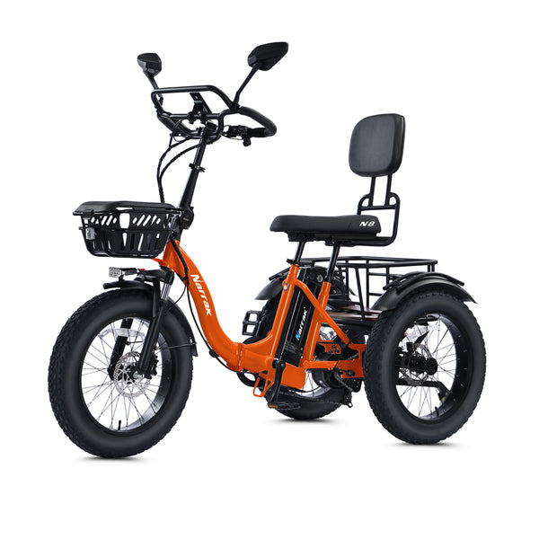 3 wheel beach bicycle N8 Semi-Recumbent E-Trike | For Seniors, UL Reel:Olive Green Virgil Abloh Louis Vuitton Nature & Outdoors water bottle cage