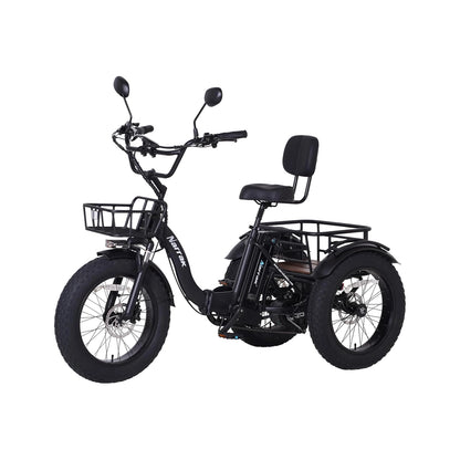 Folding Electric Tricycle S180 (Black)