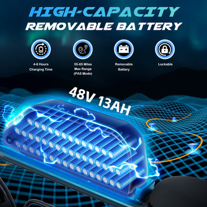 1100W Peak Motor 16"x 4.0 Fat Tires 48V 13AH Removable Battery Dirt E-Bike