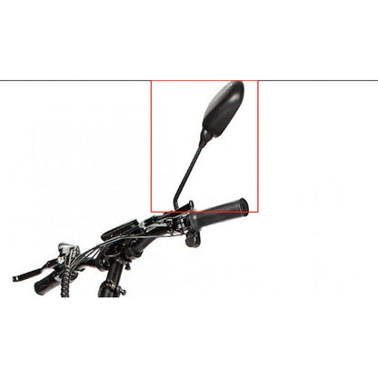 Left Side Mirror (Left Mirror)