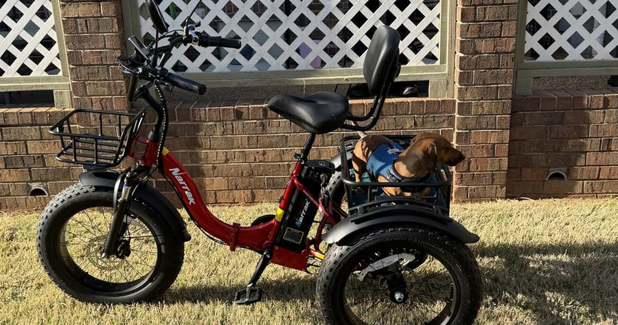 Narrak Electric Trike review